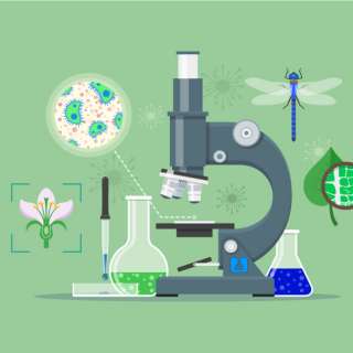 Всероссийская образовательная олимпиада по биологии для 1-4 классов «БИОЛОГИЯ»