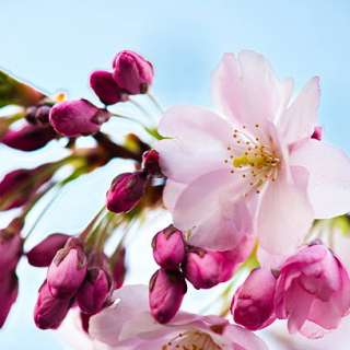 Всероссийский конкурс изобразительного искусства, декоративно-прикладного творчества и авторский фотографии «ВЕСНА В КРАСКАХ»