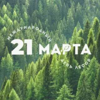 Всероссийский конкурс детского творчества к Дню защиты лесов «БЕРЕГИТЕ ЛЕС!»