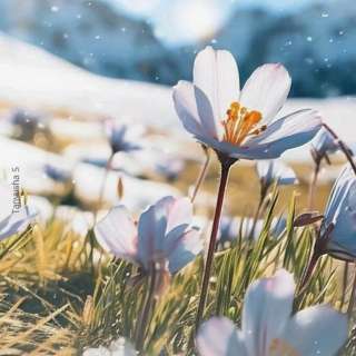 Всероссийский интеллектуальный конкурс-викторина «ДЫХАНИЕ ВЕСНЫ»